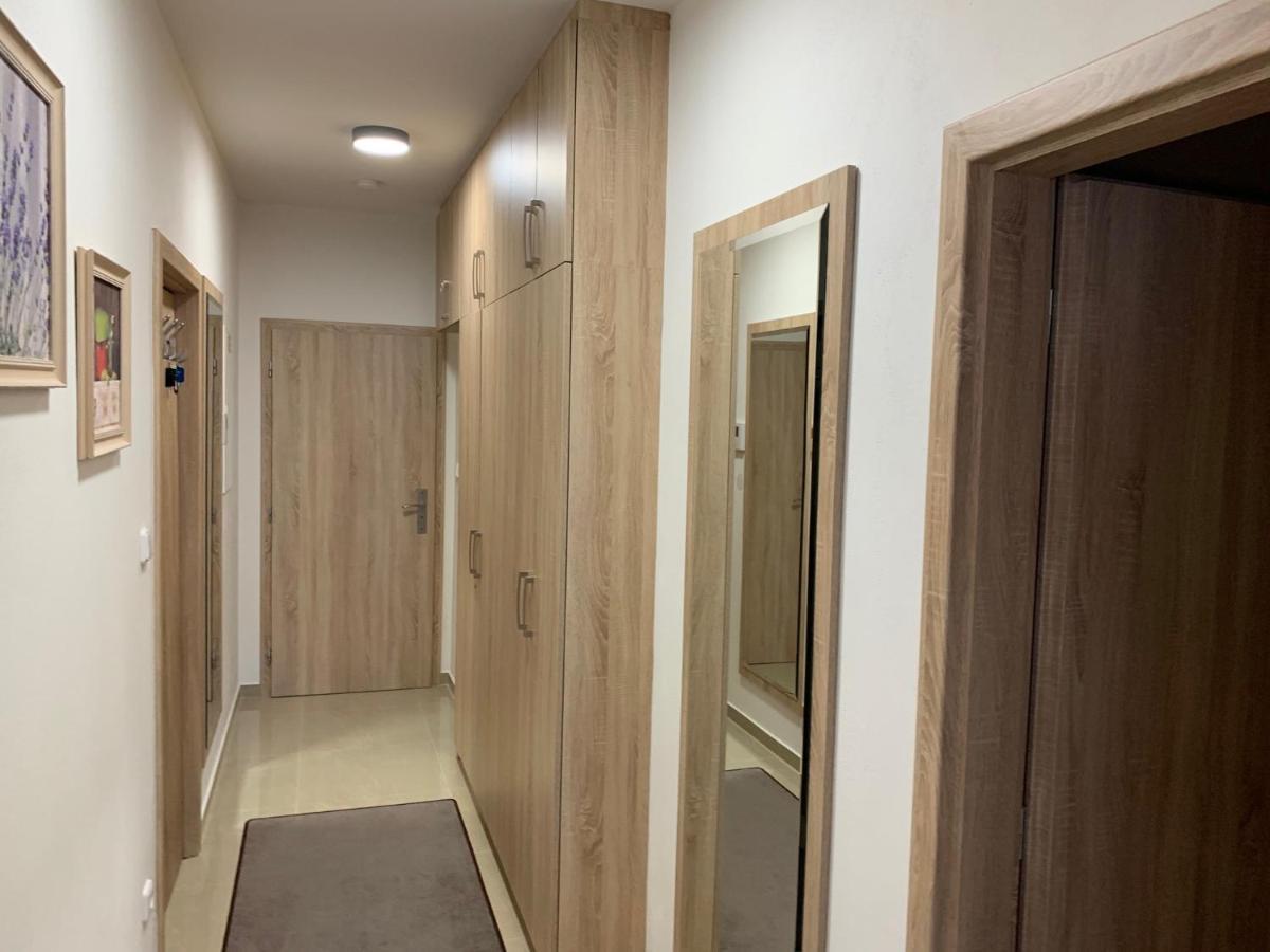 Apartment Rezidence - Javor & Wellness Železná Ruda Exterior foto